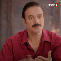 Kalkgidelim GIF by TRT
