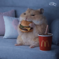 Burger Eating GIF by Respective