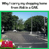 #skateboard #dashcam #shopping #skater #skater boy #street GIF by You've Been Framed!
