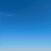 PnrTravelAgency travel travel agency pnr travelagency GIF