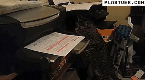giphyupload GIF