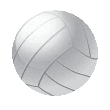 Volleyball Sticker by imoji