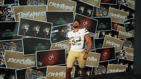 Georgia Tech Football GIF by Georgia Tech Yellow Jackets