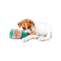 Drunk Dog Toy Sticker by Taylor Starcher