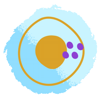 Steadyappsticker Sticker by Steady App