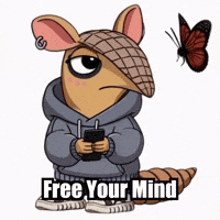 Free Your Mind Butterfly GIF by Chillo Dillo
