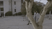 latvia GIF by Eurovision Song Contest