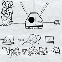 Rodentnation wtf yay huh why GIF