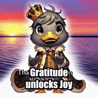 Wisdom GIF by sirduckbeth