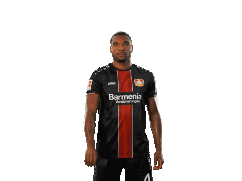 bundesliga werkself Sticker by Bayer 04 Leverkusen