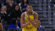 Happy Regular Season GIF by NBA