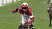 cheltenham festival yes GIF by The Jockey Club