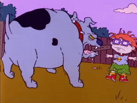 nicksplat rugrats GIF