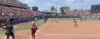 World Series Softball GIF by NCAA Championships