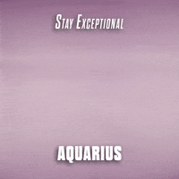 Stay Exceptional Aquarius