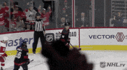 Ice Hockey GIF by NHL