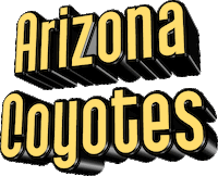 ice hockey sport Sticker