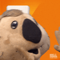 Navy Federal GIF by Navy Federal Credit Union