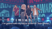 cmtmusicawards country music cmt music awards cmt awards 2019 GIF