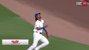 Chicago Cubs Baseball GIF