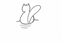 Niouumi cat cats chat cutecat GIF