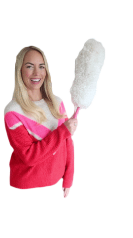 MrsEmilyNorris giphyupload clean cleaning dust Sticker