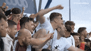 Jamtarts Hmfc GIF by Heart of Midlothian