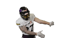 American Football Sticker by Frankfurt Galaxy