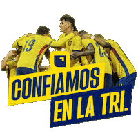 Ecuador Finanzas Sticker by Banco Pichincha