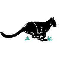 Run Feline Sticker by Team BP