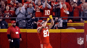 2018 Nfl Football GIF by NFL