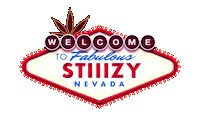 Festival Snoop Sticker by STIIIZY