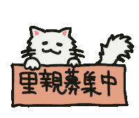 ねこ 猫 Sticker