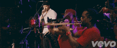 music video GIF by Vevo