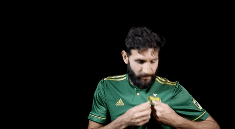 major league soccer GIF by Timbers