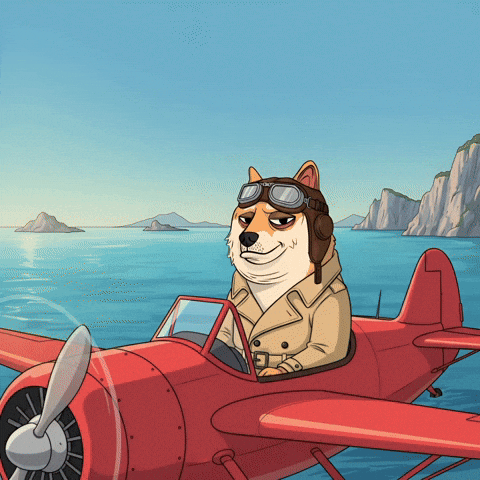 Flying Shiba Inu GIF by Doge Pound
