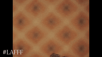 los angeles birthday GIF by LA Fashion Film Festival