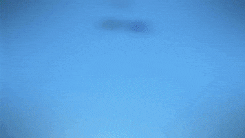 Raddad GIF by Kid-A-Loo