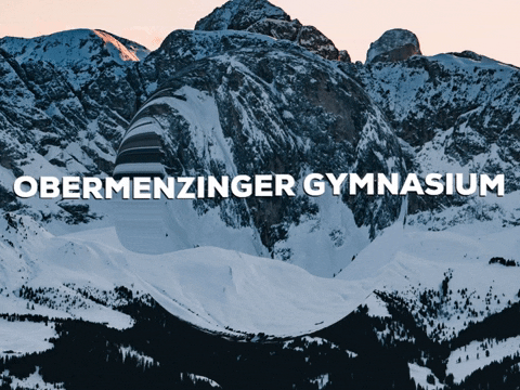 Happy Laugh GIF by PrivatschulenPORTAL.de