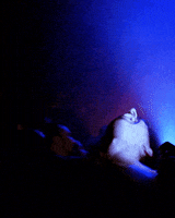 dna lounge flash GIF by Doctor Popular