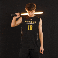 Fort Wayne Volleyball GIF by Purdue Fort Wayne Athletics