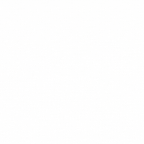slnarda giphyupload GIF