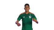World Cup Mexico Sticker by MiSelecciónMX
