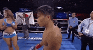 toprank boxing fighting espn fighters GIF