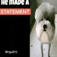 Statement GIF