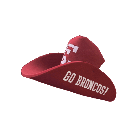 Santa Clara University Sc Sticker by Santa Clara Broncos