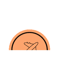 carrierwa travel fly plane airplane Sticker