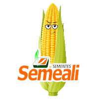 Milho Sticker by semealisementes