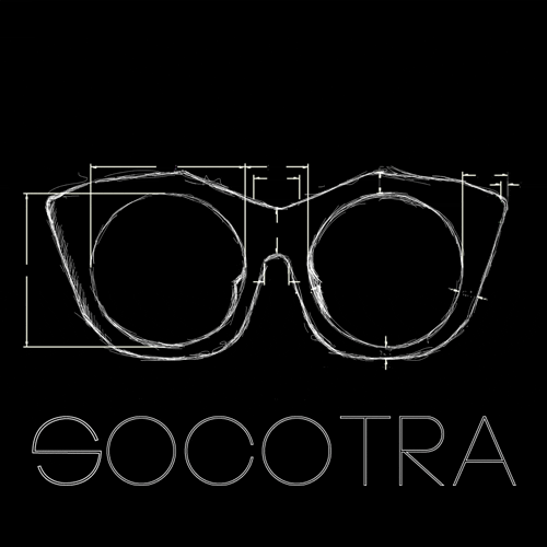 SOCOTRA giphyupload style sunglasses glasses GIF