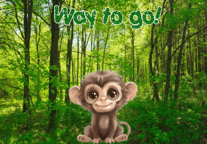 Monkey Expressions GIF